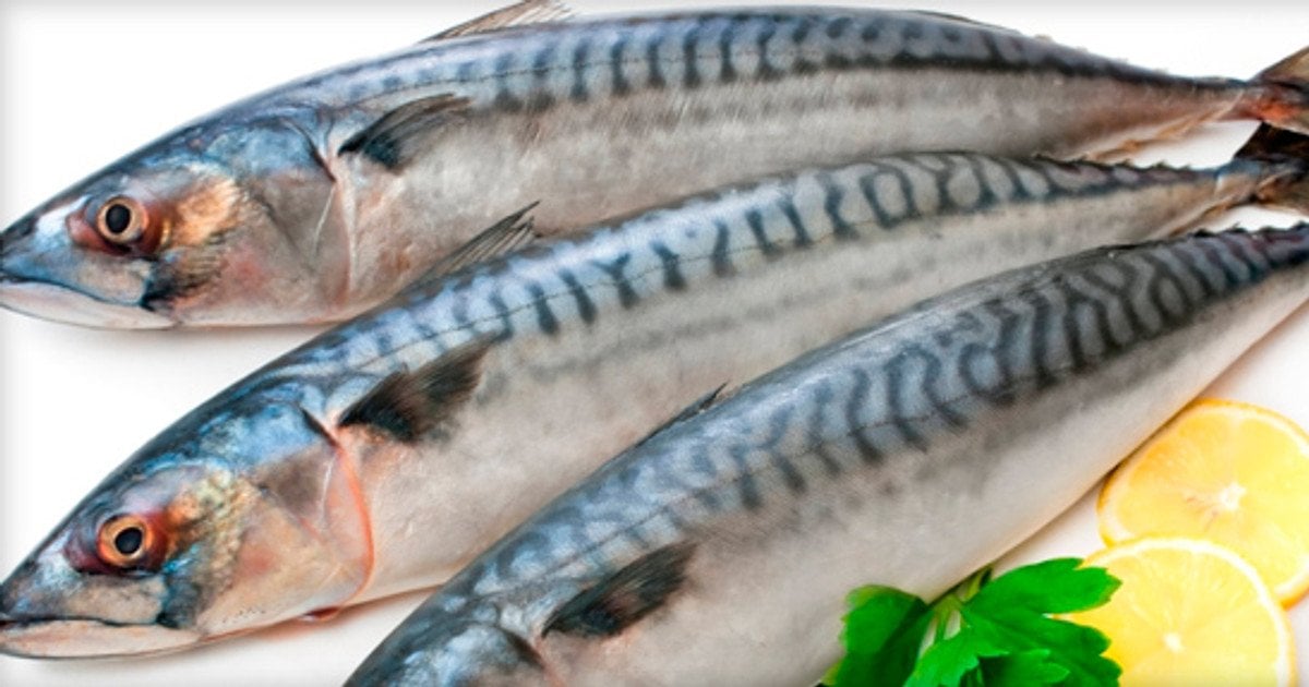 Маринована скумбрія