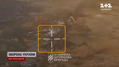 Россия готовится к дерзкому штурму Запорожья! Главное о событиях на фронте 25 ноября