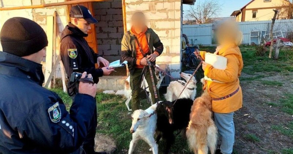 На Київщині затримано ветеринара-шкуродера