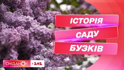 Візитівка Києва: історія саду бузків