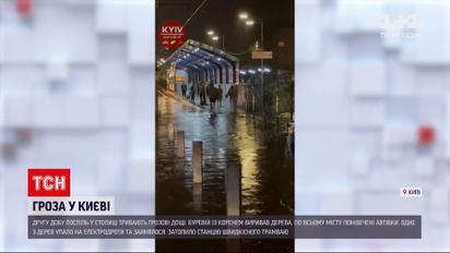 Новости Украины: Киев вторые сутки страдает под ударом стихии - вырванные деревья и пожары от молнии