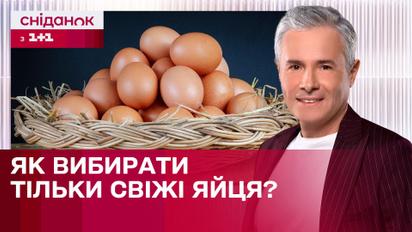 Як перевірити яйця на свіжість? Надійний метод | Знаю – споживаю