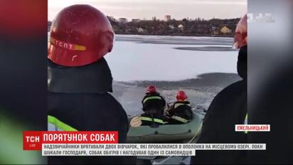 Порятунок із-під криги: у Хмельницькому надзвичайники витягли з озера двох німецьких вівчарок