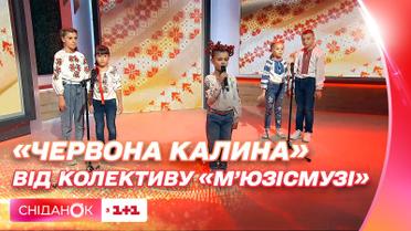 "Червона калина" в исполнении учеников талант-центра "МьюзиСмузи"