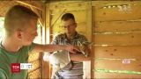 У Львові зоозахисники врятували кілька-місячне лисеня