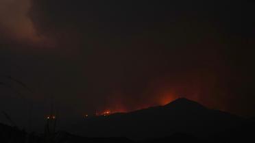 Кіпр лісові пожежі_2 / © Associated Press