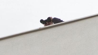 Красная дорожка Каннского фестиваля