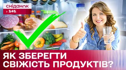 Їжа не зіпсується! Дієві поради як зберігати продукти у спеку