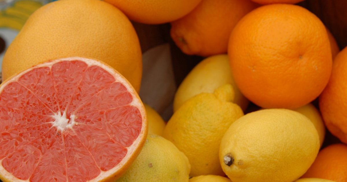 В Украине подешевели цитрусовые: какая стоимость фруктов