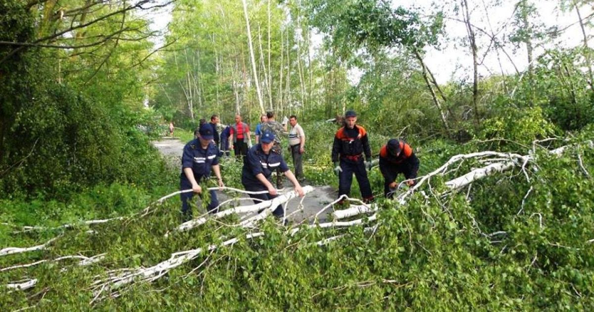 Непогода добралась до Полтавщины и Сумщины: обесточены десятки населенных пунктов