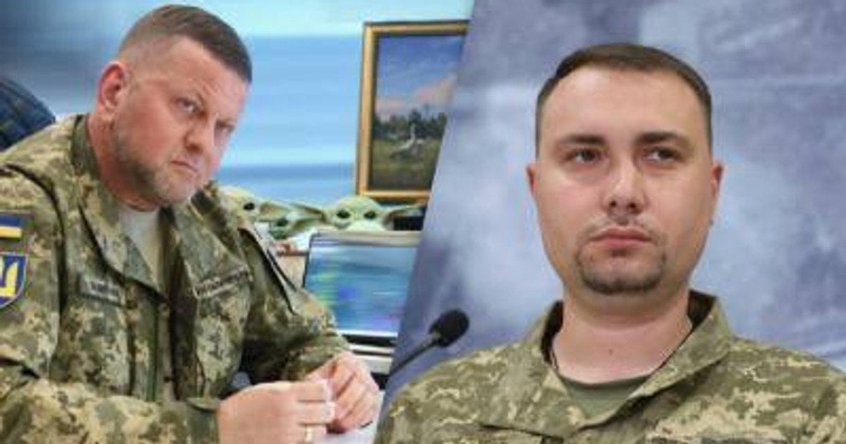 Залужного й Буданова умисно не включили в останні рейтинги через те, що довіра до них зростає, - блогер