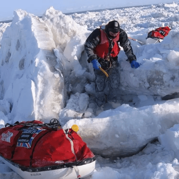 Бушбі у Беринговій протоці 2006 року / © The LAD bible