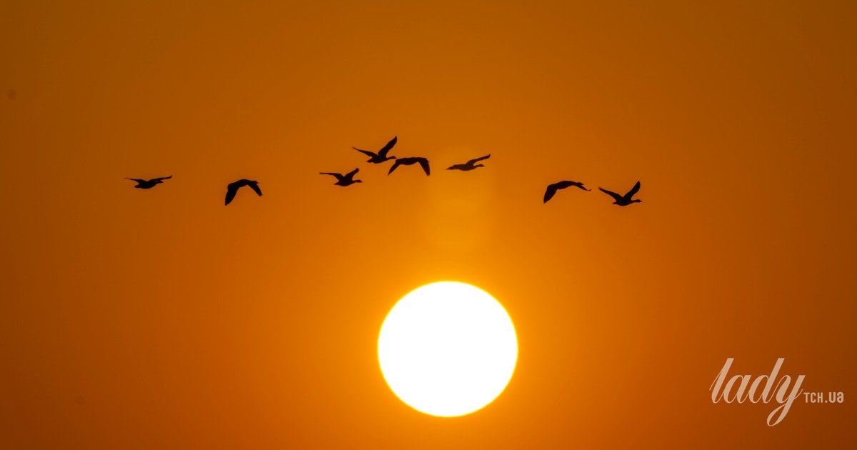 Зимнее солнцестояние 21 декабря 2025 года