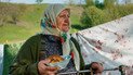 Любов Колесникова