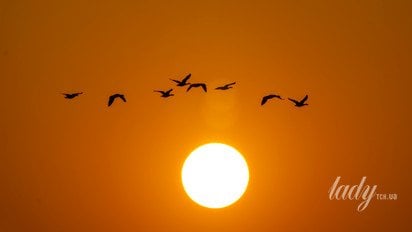 Зимове сонцестояння 21 грудня 2025 року