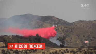 У Каліфорнії палають 8 тисяч гектарів лісу