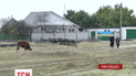 В селі Мирному на Миколаївщині взагалі не було виборів ні на посаду голови, ні в селищну раду