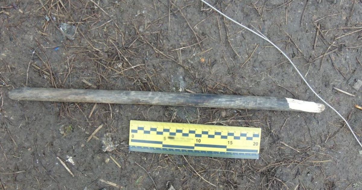 Забила палкой: в Черкасской области задержали девушку за убийство взрослого мужчины