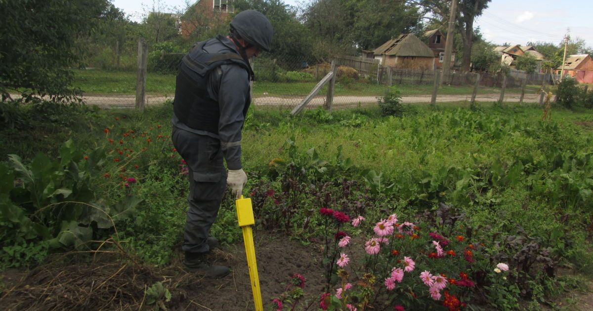 боєприпаси збирають у Калинівці та селах_6 / © ДСНС
