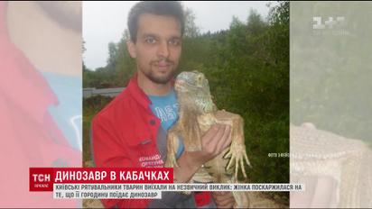 На Київщині з'явився "динозавр", який поїдав кабачки на сільському городі
