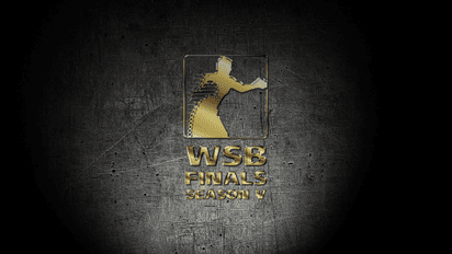 Смотрите боксерский финал WSB Астана Арланс - Кубинские укротители на ТСН.ua