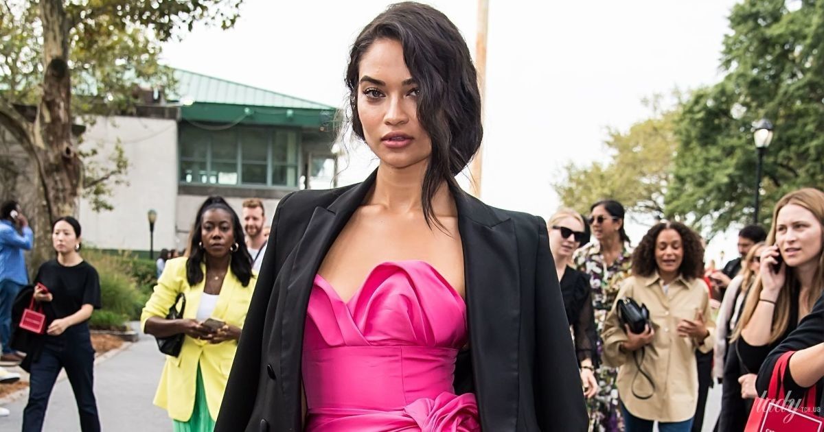 Шаніна Шейк