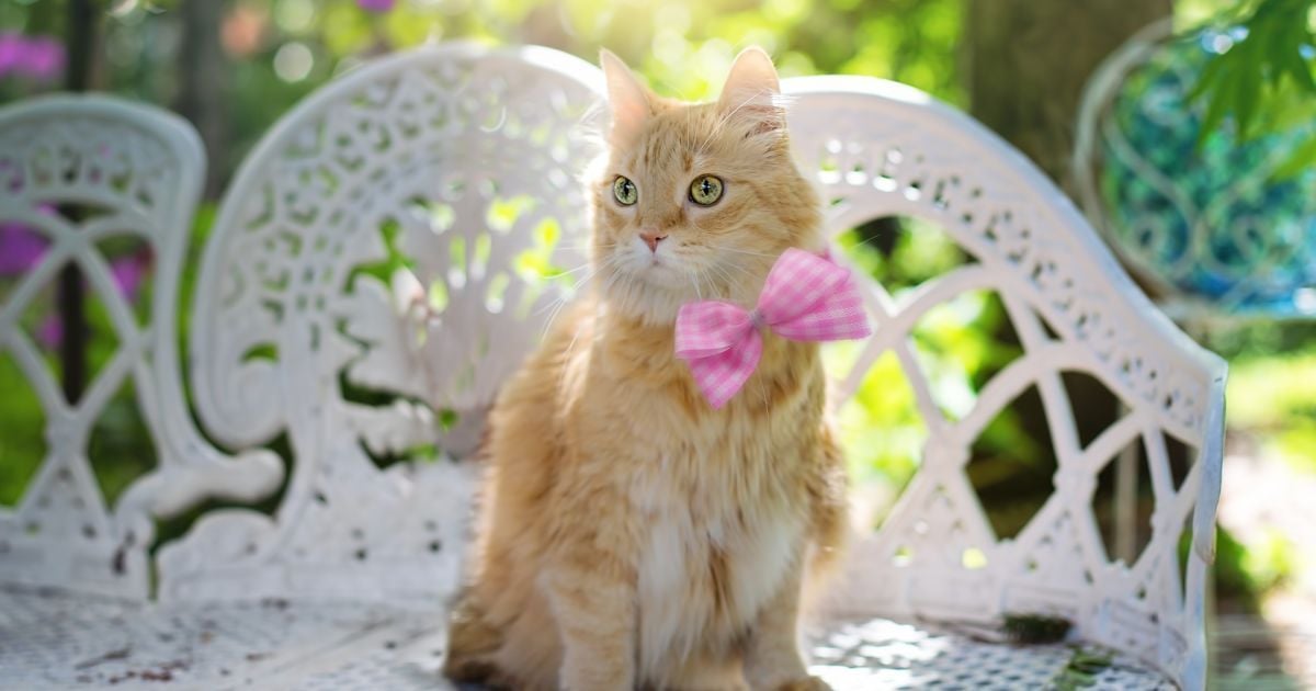 Спека знову повертається: синоптики дали прогноз погоди в Україні на 15 серпня