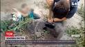 Новости Украины: 12-летний мальчик застрял в глубокой норе, которую вырыл пес