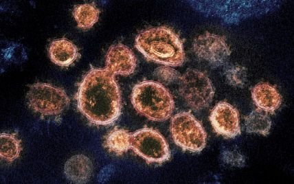 В еще одной стране Европы обнаружили новый штамм коронавируса "Омикрон"