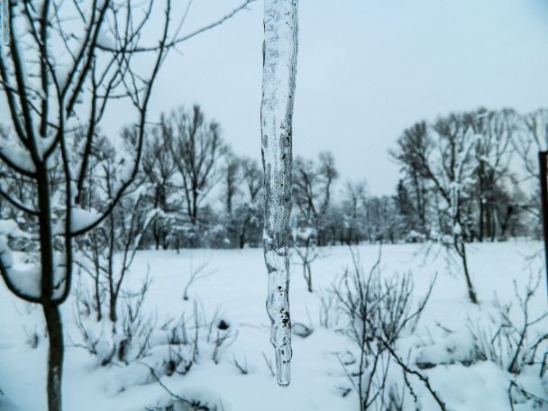 Народные приметы 31 декабря / © Unsplash