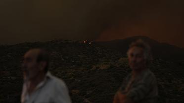 Кіпр лісові пожежі_6 / © Associated Press