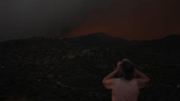 Кіпр лісові пожежі_5 / © Associated Press