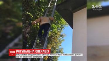 У Могилеві-Подільському надзвичайники провели спецоперацію з порятунку кота