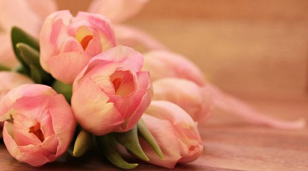 День ангела 26 квітня — душевні привітання в прозі / © unsplash.com