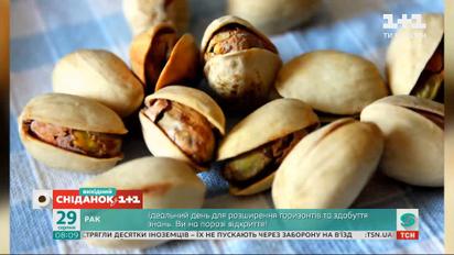 Самые дорогие, самые вкусные и самые полезные – интересные факты об орехах