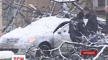 На Харьковщине из-за непогоды остаются обесточенными 34 населенных пункта