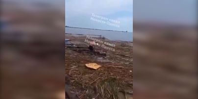 На Одещині врятували песика, який приплив до берега на дошці