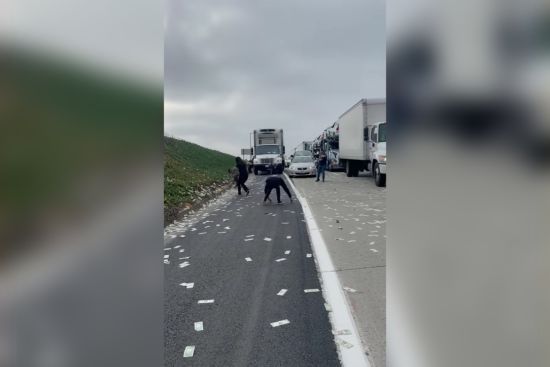 На трасу із вантажівки випали тисячі доларів: водії вибігали із авто, збирали та кричали від щастя