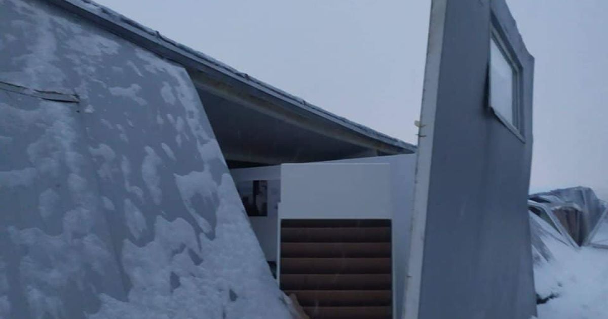 Фото: Патрульна поліція Львівської області