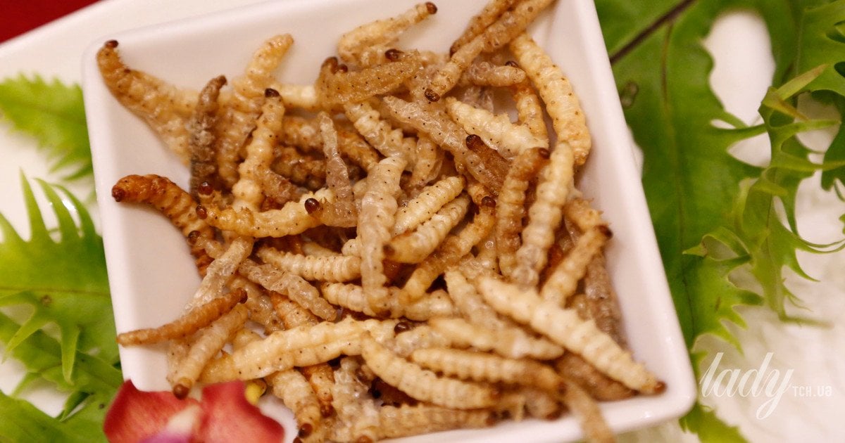 Бамбукові червяки