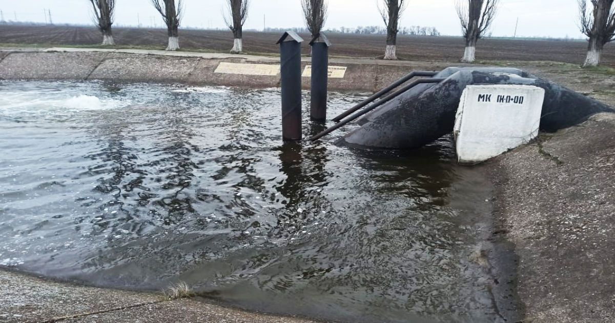 Жуткое ДТП на Николаевщине: водитель утопил патрульную полицейскую в канале и скрылся с места аварии