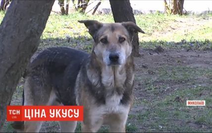 Суд Миколаєва зобов'язав міськраду виплати компенсацію жінці, яку покусав безпритульний пес