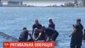 Спасательная операция дельфина в Херсонской области получила неожиданное развитие: их стало больше