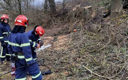 Тіло діставали рятувальники: у Рівненській області дерево вбило 36-річного чоловіка
