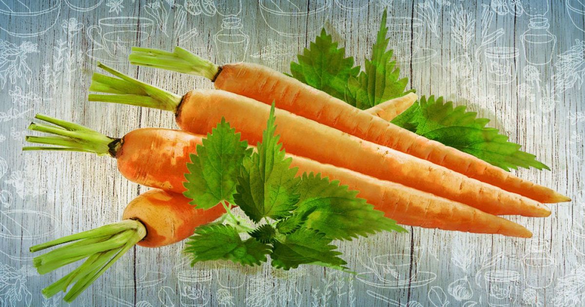 Про користь сирої моркви і кропиви