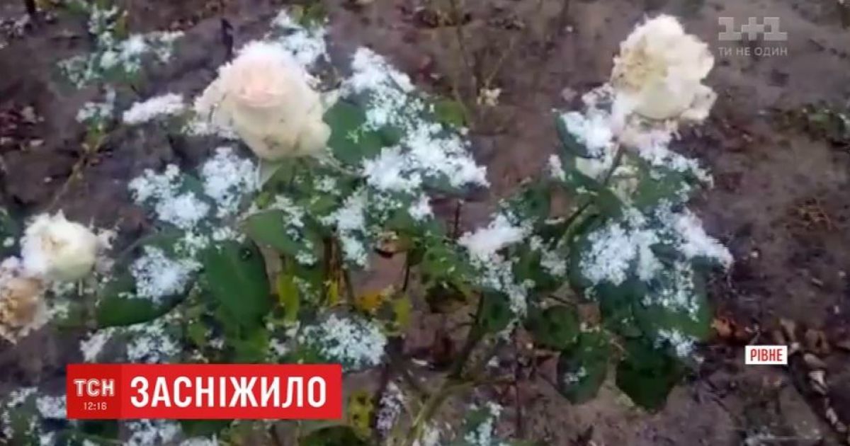 Перший сніг випав на Рівненщині і Волині
