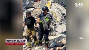 Из-под завалов разрушенного дома в Мирнограде спасли кота