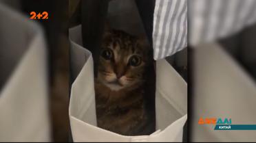 Подборка новостей мира за 17 марта 2020 года