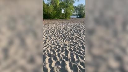 У Києві стався конфлікт через російську музику