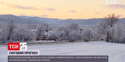 Погода в Україні: у північних областях та у Вінницькій області ітиме сніг